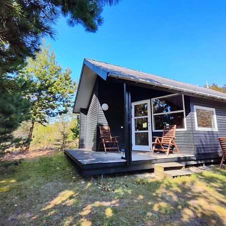 Tranum Klit Camping Og Hytteudlejning Brovst Kültér fotó