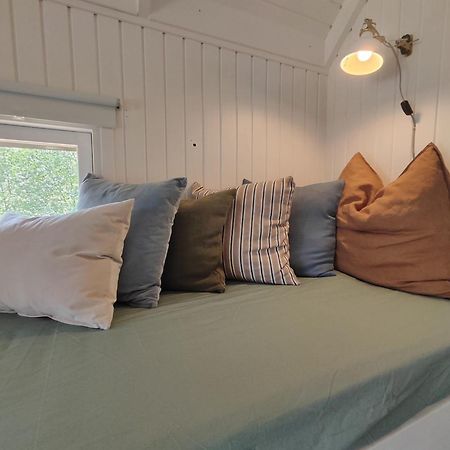Tranum Klit Camping Og Hytteudlejning Brovst Kültér fotó