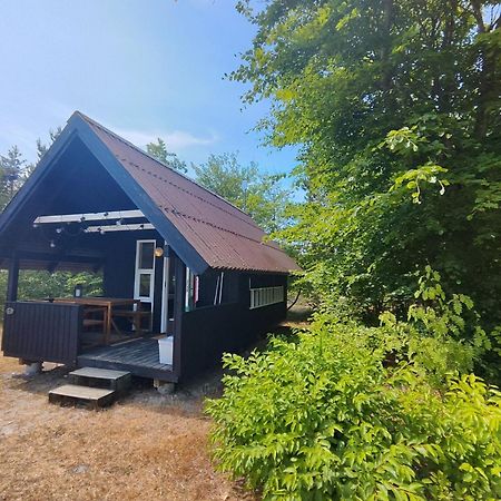 Tranum Klit Camping Og Hytteudlejning Brovst Kültér fotó
