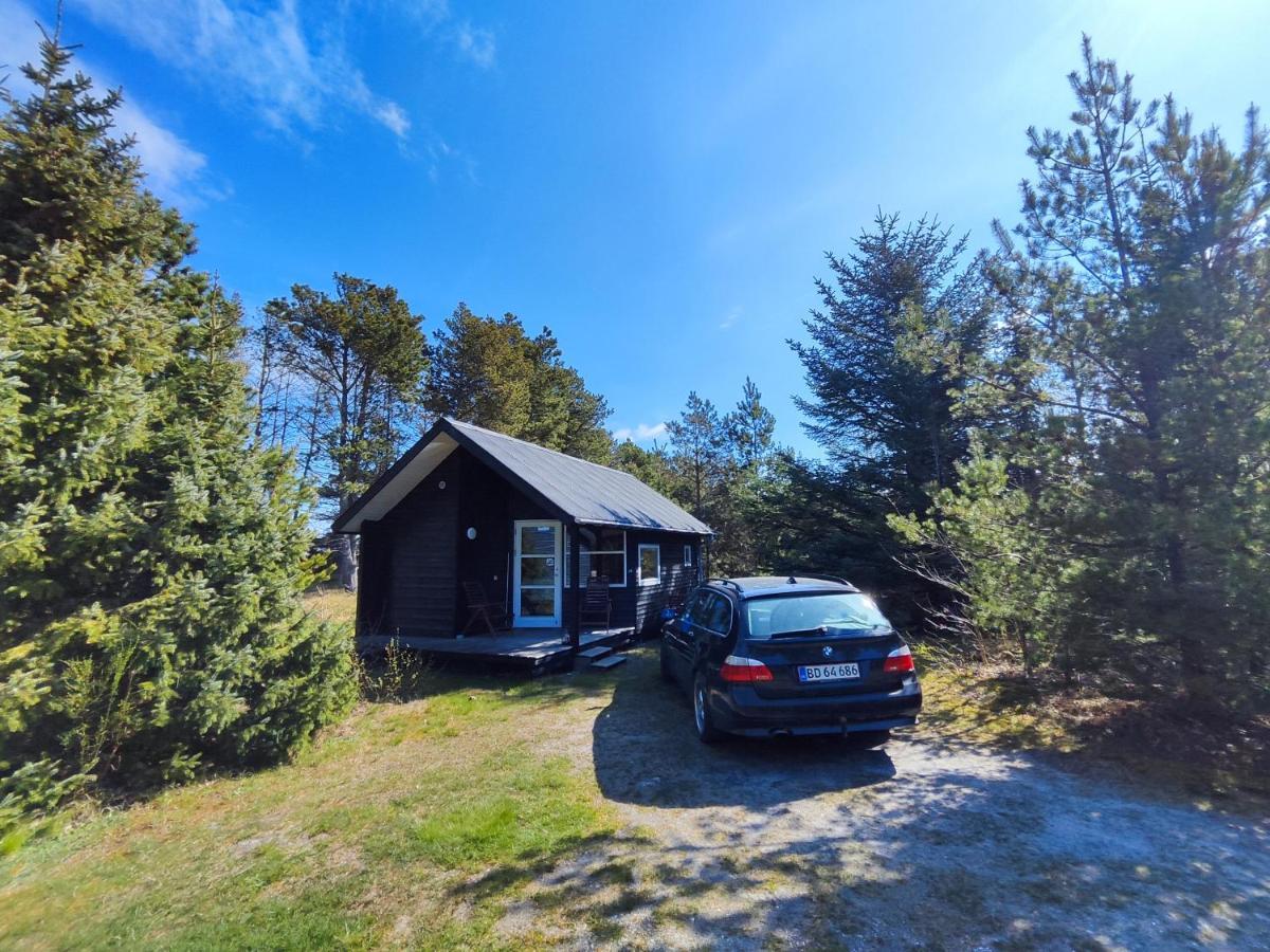 Tranum Klit Camping Og Hytteudlejning Brovst Kültér fotó