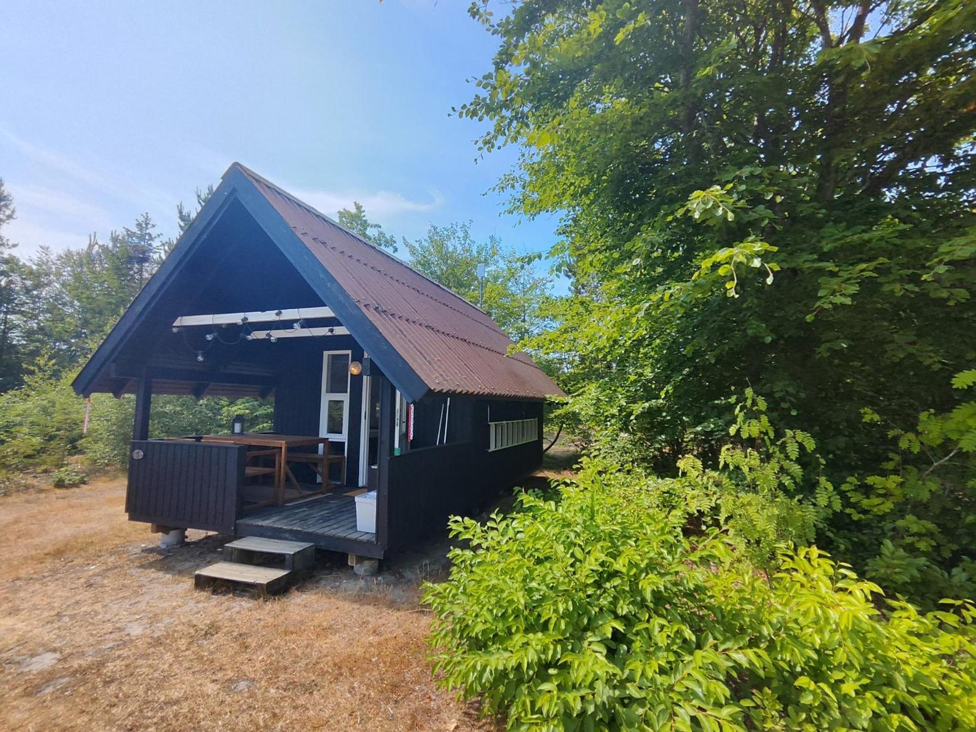 Tranum Klit Camping Og Hytteudlejning Brovst Kültér fotó